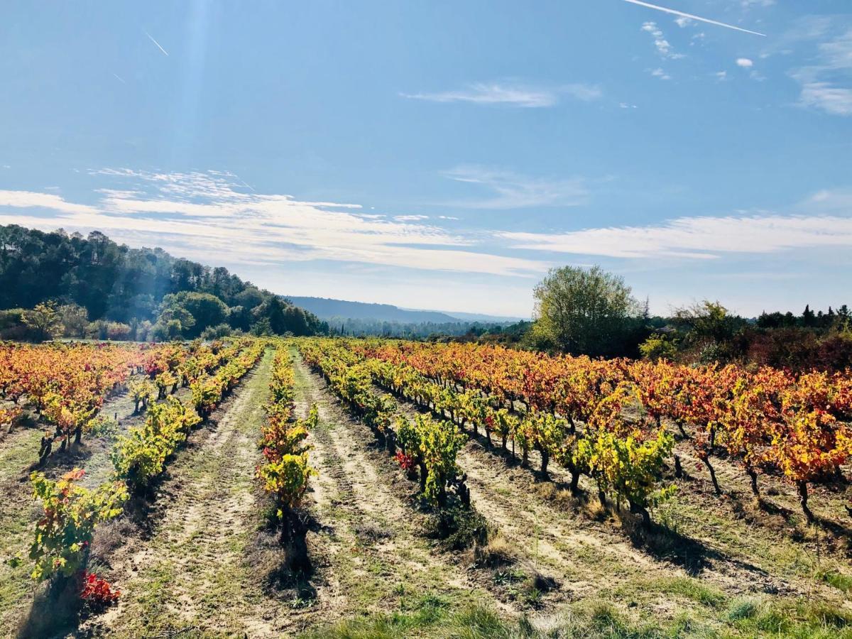 La Maison D Ame - For The Perfect Stay At The Mont Ventoux Malaucène Екстериор снимка
